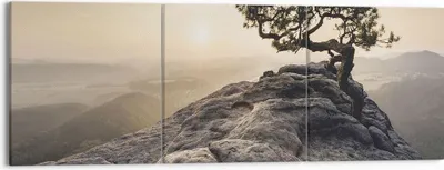 Produktbild von Bild auf Leinwand - Leinwandbild - 3 Teile - Alt Kiefer Berge - 150x50cm - Wand Bild - Wanddeko - Wandbilder - Leinwanddruck - Bilder - Wanddekoration - Leinwand bilder - Wandbild - CA150x50-4334
