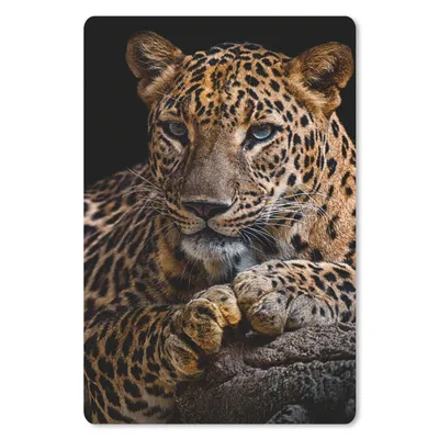 Produktbild von MuchoWow® Mauspad Mousepad Wildtiere - Panther - Porträt - Schwarz - Tiere 18x27 cm - Mousepads - Maus Mat - Pad - Mausunterlage