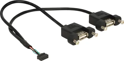 Immagine prodotto di Delock 84832 DELOCK USB Kabel Pinheader 10Pin -> 2x A Bu/Bu 0.25m