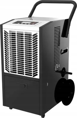 Image de Camry AD 7864 Industrial air dryer Black