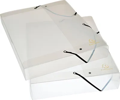 Produktbild von Exacompta Archivbox PP Crystal A4 Rücken 2,5 cm kristall