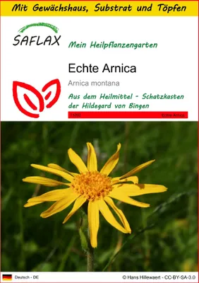 Produktbild von SAFLAX Anzucht Set - Echte Arnica - Arnica montana - 40 Samen - Mit Mini-Gewächshaus, Anzuchtsubstrat und 2 Töpfen