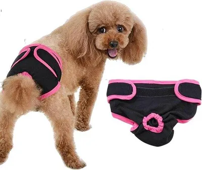 Immagine prodotto di Pantaloni da addestramento per cani | Pantaloni regolabili per cani con protezione dal calore e per l'incontinenza | Pantaloni protettivi fisiologici per cani (L- # 2)