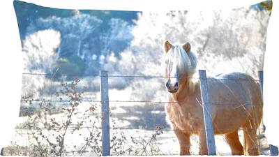 Produktbild von MuchoWow® Zierkissen Sofakissen Wohnzimmer Dekokissen 60x40 cm Pferd - Winter - Schnee - Kopfkissen - Polster mit Foto
