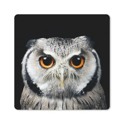 Produktbild von MuchoWow® Mauspad Mousepad Nahaufnahme Eule 30x30 cm - Mousepads - Maus Mat - Pad - Mausunterlage - Gaming
