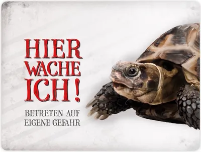 Produktbild von Metallschild XL mit Schildkröte Motiv und Spruch: Betreten auf eigene Gefahr ...