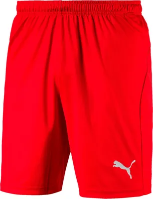 Produktbild von Puma Hosen Liga Shorts Core, 70343601, Größe: 188