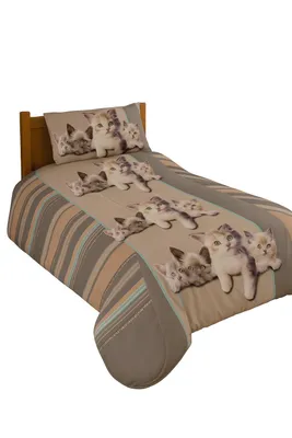 Image de Couette légère imprimée Kitten - 1 ou 2 personnes 200 x 200 - 2791