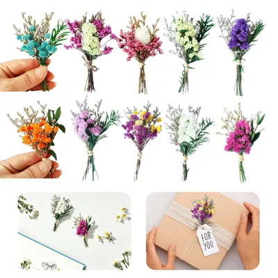 Trockenblumen-Ministräuße, 10 Stück, bunt, 10 cm, für DIY & Deko