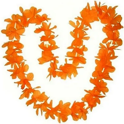 Image de Pièce Couronne/guirlande hawaïenne orange