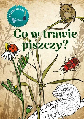 Image de Livre de coloriage pour enfants « Qu'est-ce qui grince dans l'herbe ? » de Katarzyna Kopiec Sekieta