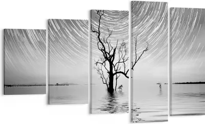 Produktbild von Bild auf Leinwand - Leinwandbild - 5 Teile - Schwarzweiß Baum See - 100x60cm - Wand Bild - Wanddeko - Wandbilder - Leinwanddruck - Bilder - Wanddekoration - Leinwand bilder - Wandbild - EG100x60-4253