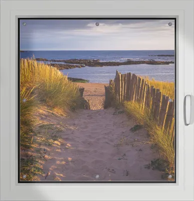 Produktbild von Wallario Lichtschutzbild, Dekorativer Sichtschutz Sonnenschutz 96 x 100 cm mit Motiv: Weg durch die Dünen zum Meer an der Küste - Verdunklung ohne Bohren