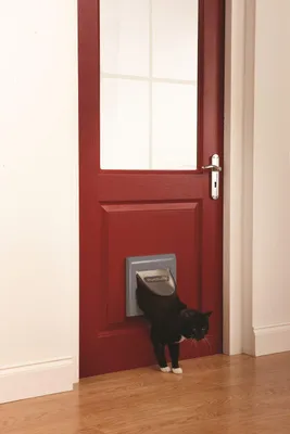 Produktbild von Katzenklappe - 4 Verschlussoptionen - Grau, 1 Stück