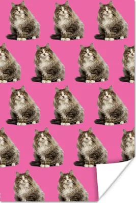 Produktbild von MuchoWow® Poster Katze - Muster - Braun 40x60 cm - Plakate für die Wand - Poster Babyzimmer