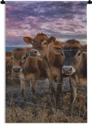Produktbild von MuchoWow® Wandteppich Wandbehang Kuh - Tiere - Kühe 60x90 cm Tapisserie Dekoration Wandtuch - Foto-Teppich - Abwaschbar