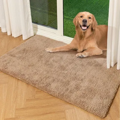 Image de Tapis moelleux, 90x150 cm, beige, imitation fourrure, antidérapant