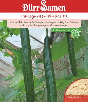 Produktbild von Dürr-Samen - Hausgurken Pindos F1 - Saatgut - 4125