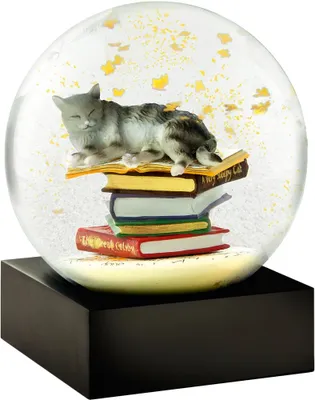 Produktbild von Schneekugel, Cat on books, 12x10x10cm