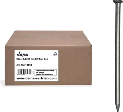 Immagine prodotto di Chiodi 2,5x55 mm 2,5 kg / scatola