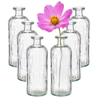 Produktbild von 6er Set Glasvasen – Vintage Vasen aus Klarglas, 28 cm hoch – Blumenvase für Tischdeko, Hochzeit, Landhaus-Deko, kleine Glasflaschen