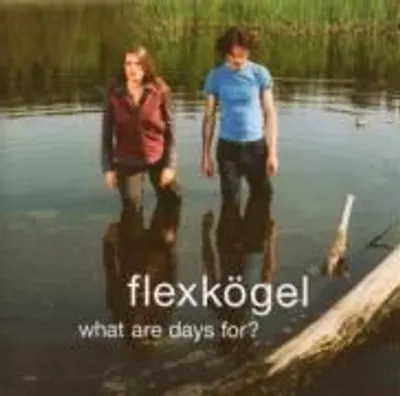 Produktbild von Flexkögel-What Are Days For?