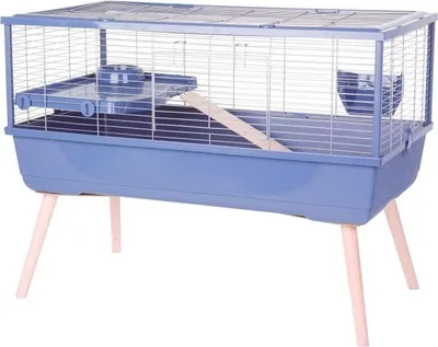 Obrázok produktu pre Klietka pre hlodavce Zolux Néolife, 99 x 54 x 79 cm, vyvýšená, pre morčatá, modrá