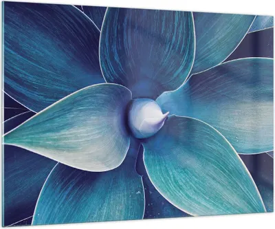 Produktbild von Bilder auf glas - Einteilig - Agave Blau Blume - 100x70cm - Glasbilder - Wandbilder - Bilder - zum Aufhängen bereit - Wanddekoration aus Glas - Glas Bilder - Wandbild auf Glas - GAA100x70-4972