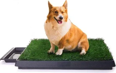 Immagine prodotto di Cuccioli per l'addestramento di cani di taglia grande e piccola - Lettino da interno per cani anziani - 63 x 50 x 7 cm