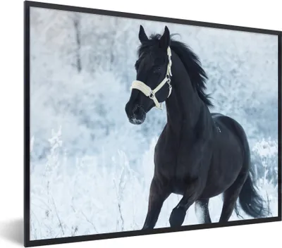 Produktbild von MuchoWow® Gerahmtes Poster Pferd - Schnee - Wald 80x60 cm - Poster mit Schwarzem Bilderrahmen Wandposter Rahmen Foto Bilder - Schwarzem - Mit Gestell