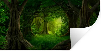 Produktbild von MuchoWow® Wandtattoo Wandsticker Wandaufkleber Bäume - Wald - Grün - Landschaft - Natur 120x60 cm Selbstklebend und Repositionierbar - Sticker - Dekorfolie