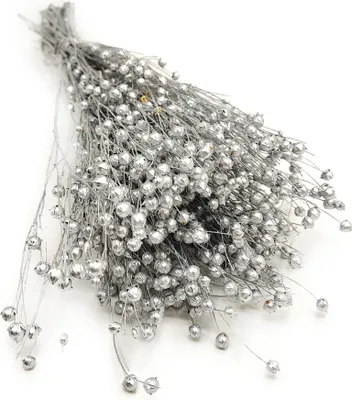 Produktbild von Flachs Getrocknete - (Leinen) - Silber