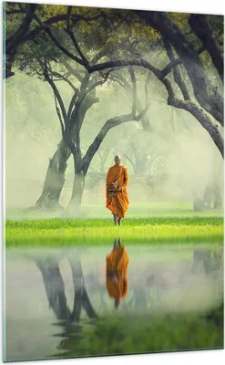 Produktbild von Bilder auf glas - Einteilig - Mönch Wald Nebel - 70x100cm - Glasbilder - Wandbilder - Bilder - zum Aufhängen bereit - Wanddekoration aus Glas - Glas Bilder - Wandbild auf Glas - GPA70x100-4286