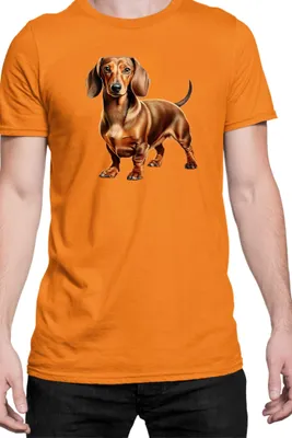 Immagine prodotto di Maglietta da uomo Dogs Breeds Dachshund Dog Breed 008, Man S , Orange