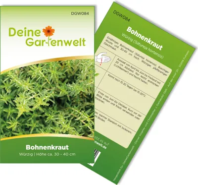 Bohnenkraut  Samen - Satureja hortensis - Bohnenkrautsamen - Kräutersamen - Saatgut für 200 Pflanzen
