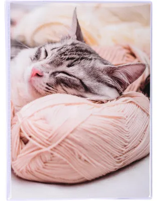 Produktbild von Exacompta 12x Einsteckalbum 24 Fotos 10x15cm 12x16 cm Sortierte Motive 65001E