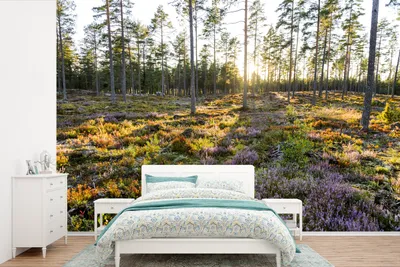 Produktbild von MuchoWow® Fototapete für Wohnzimmer oder Schlafzimmer Wandtapete Vinyl Motivtapete Bäume in einer Heidelandschaft - 390x260 cm - Papiertapete