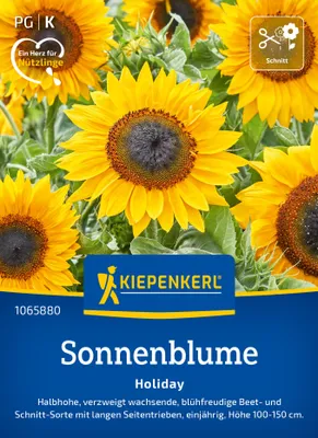 Produktbild von Kiepenkerl Sonnenblumensamen Holiday Helianthus annuus 20 Pflanzen