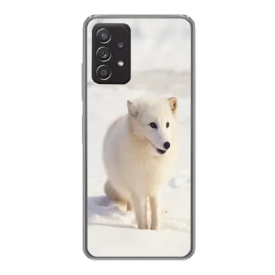 Produktbild von MuchoWow® Handyhülle Schutzhülle Hülle für Samsung galaxy a73 Fuchs - Schnee - Weiß Silikon Softcase Handy Hülle - Handyhülle