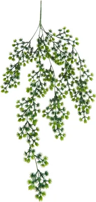 Produktbild von VBS Hänger "Lärche", L ca. 74 cm