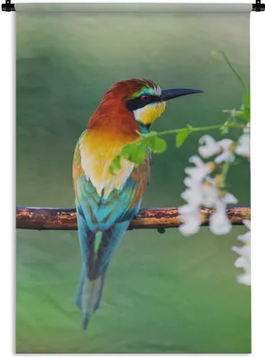 Produktbild von MuchoWow® Wandteppich Wandbehang Vogel - Bienenfresser - Blumen 90x135 cm Tapisserie Dekoration Wandtuch - Baumwolle - Wandskulptur