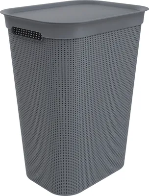 Zdjęcie produktu dla Pojemnik na pranie Rotho 50 L Brisen - Kosz na pranie 43,1 x 34 x 52,9 cm - Pojemnik na pranie z pokrywą i uchwytami - Duża skrzynia na pranie - Plastikowy pojemnik na pranie