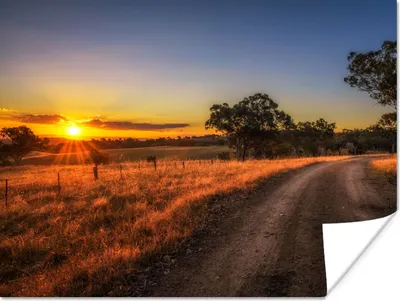 Produktbild von MuchoWow® Poster Sonne - Gras - Baum - Natur 160x120 cm - Foto Plakat