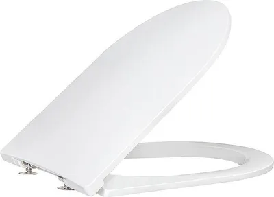 A white toilet seat with a lid, shown from a diagonal angle against a white background.