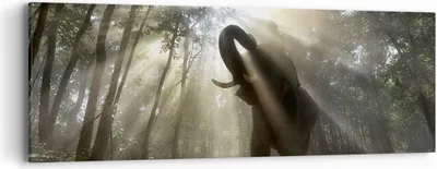 Produktbild von Bild auf Leinwand - Leinwandbild - Elefant Dschungel  - 90x30cm - Wand Bild - Wanddeko - Wandbilder - Leinwanddruck - Bilder - Kunstdruck - Wanddekoration - Leinwand bilder - Wandkunst - AB90x30-3835