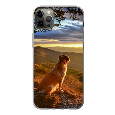 Produktbild von MuchoWow® Handyhülle Schutzhülle Hülle für iPhone 13 Pro Max Ein Golden Retriever beobachtet den Sonnenuntergang Silikon Softcase Handy Hülle - Mobiltelefon