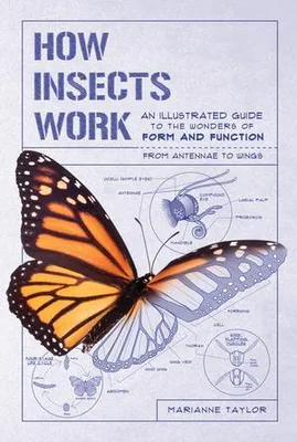 Produktbild von How Insects Work