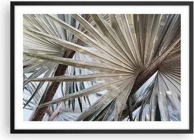 Produktbild von Gerahmtes Poster - Schwarzer Rahmen - Blatt Palme Natur - 70x50 cm - Wand Bild - Wanddeko - Wandbilder - Kunstposter - Wandposter - Bilderrahmen - Bilder - Kunstdruck - P2BAA70x50-5056