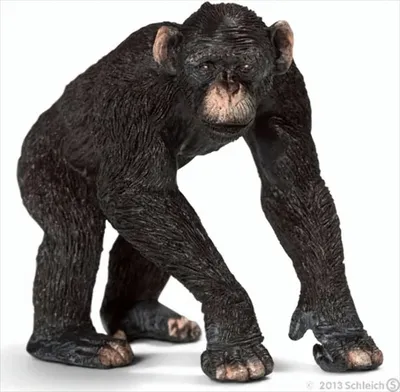 Produktbild von Schleich 14678 - Schimpansen Männchen