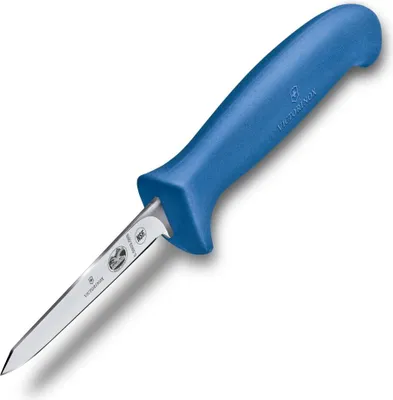 Produktbild von Victorinox Swiss Modern Tafelmesser Kornblumenblau